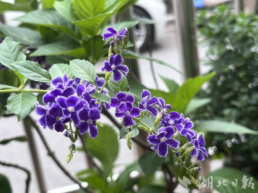 澳门注册送58元体验金